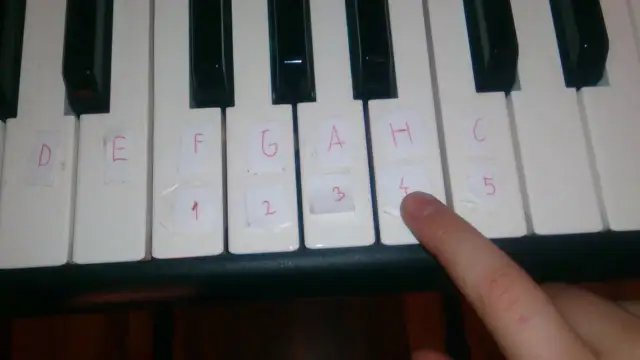 Jak zagrać na pianinie Wlazł kotek - proste kroki dla początkujących