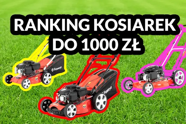 Kosiarka spalinowa do 1000 zł: Ranking i Poradnik Zakupowy