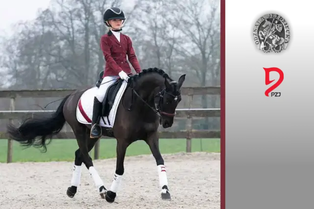 Odznaki jeździeckie PZJ: Kompletny przewodnik. Jak zdać egzamin?