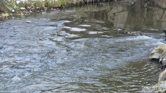 Jaka rzeka płynie przez Lublin? Odkryj Bystrzycę i jej skarby