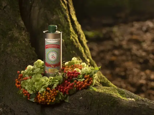 Oliwa z oliwek: Jak ją przechowywać, by zachować smak i świeżość?