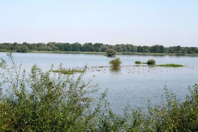 Niezapomniane atrakcje Jeziora Goczałkowickiego, które musisz zobaczyć