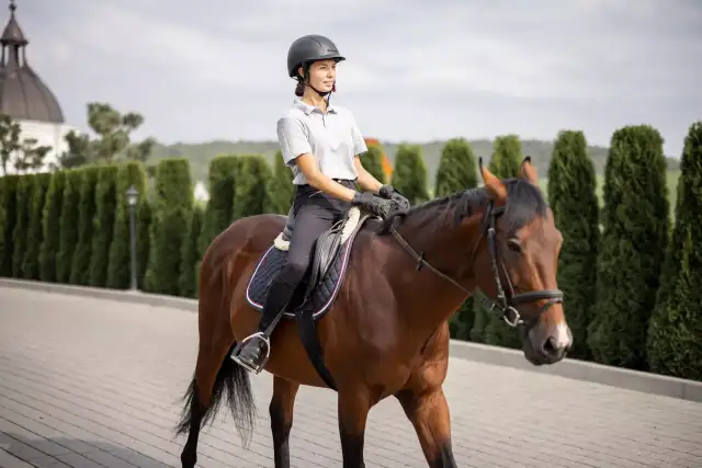 Czy można jeździć konno po mieście? Przepisy, które musisz znać