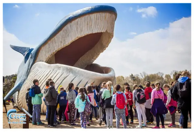 Karwia w deszczu? Odkryj najlepsze atrakcje dla dzieci i dorosłych!