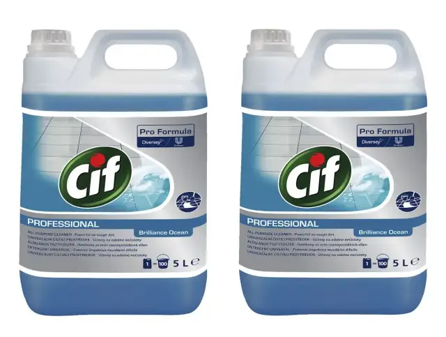 Jaki płyn do myjki ciśnieniowej? Uniknij błędów, czyść profi!