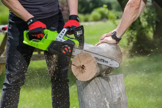 Jakie powody wycinki drzew są uzasadnione i jak je przedstawić