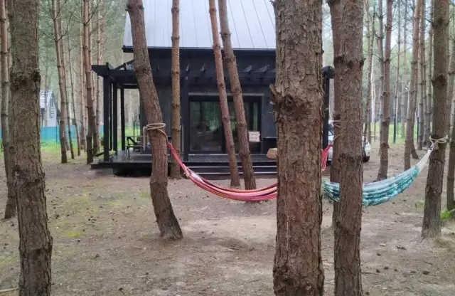 Jezioro Tarnobrzeskie: Atrakcje, ceny, noclegi. Zaplanuj urlop!