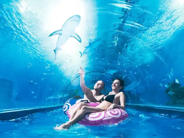 Oceanarium Jastrzębia Góra: Rekiny, ceny, godziny czy warto?