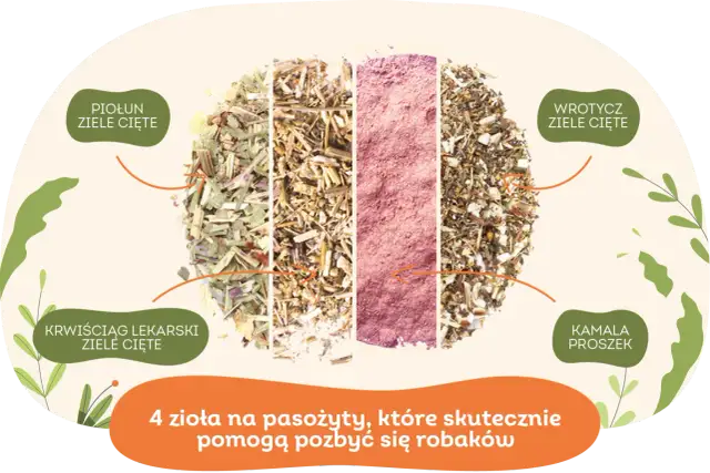 Czym odrobaczać psa? Skuteczne metody i naturalne alternatywy