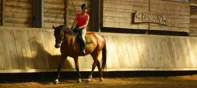Stadnina koni Kierzbuń - poznaj wyjątkowe usługi i atrakcje