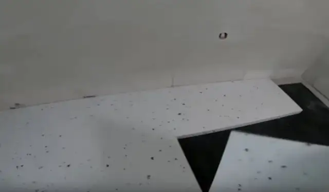 Jak układać styropian pod wylewkę, aby uniknąć mostków termicznych