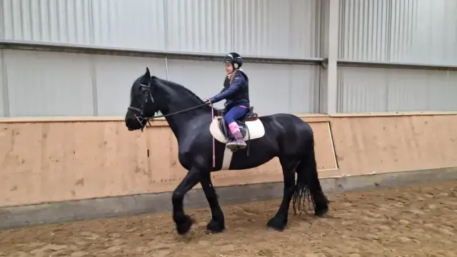 Ośrodek jeździectwa i rekreacji Urok – idealne miejsce na wypoczynek