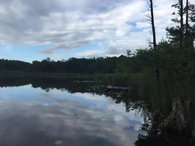 Jezioro Bolechowskie: ukryty skarb Puszczy Zielonki czeka na Ciebie