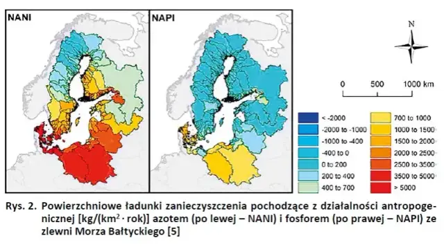 Dlaczego Bałtyk jest zanieczyszczony? Odkryj niebezpieczne przyczyny