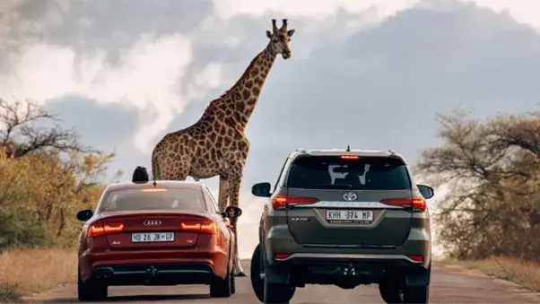 Bezpieczeństwo w RPA: Porady eksperta. Jedź świadomie i bezpiecznie!