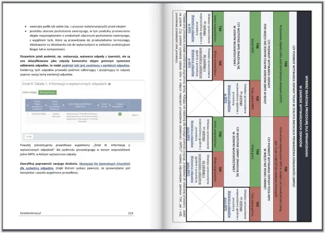 BDO dla warsztatu: Sprawozdanie bez błędów i kar poradnik