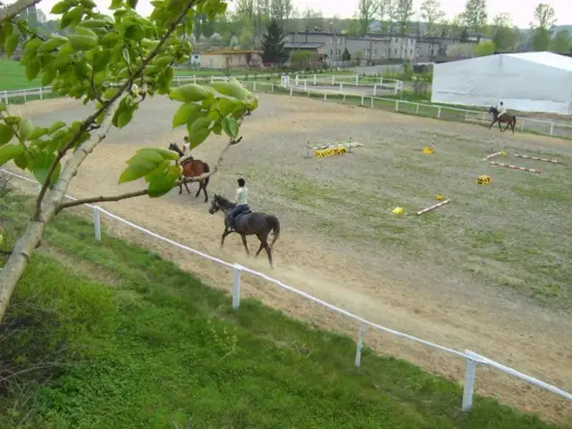 Stadnina koni Ruda Śląska: Omega vs. Rancho którą wybrać?