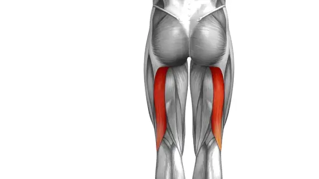 Jakie są objawy zapalenia mięśnia dwugłowego uda i jak je rozpoznać
