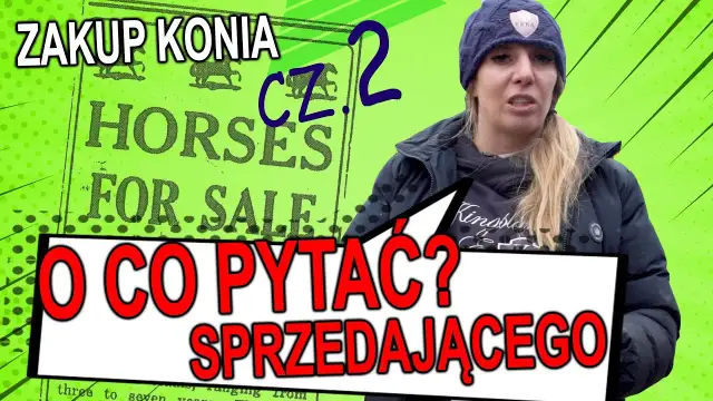 Jak kupić konia: uniknij najczęstszych błędów i wybierz mądrze