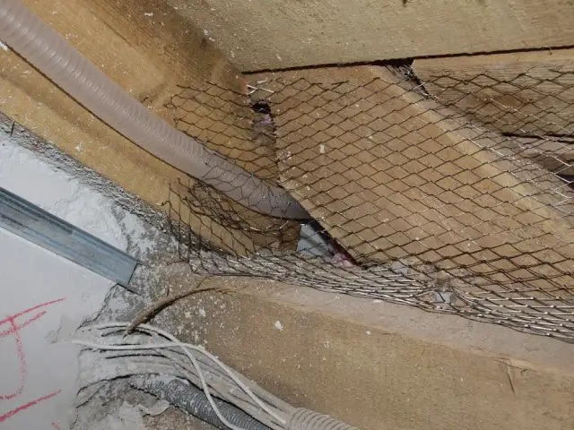 Skuteczne sposoby na zabezpieczenie dachu przed kunami w Twoim domu