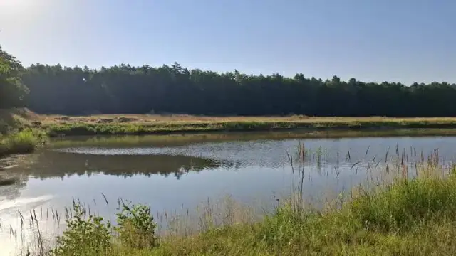 Najciekawsze atrakcje w Kolbuszowej, które musisz zobaczyć