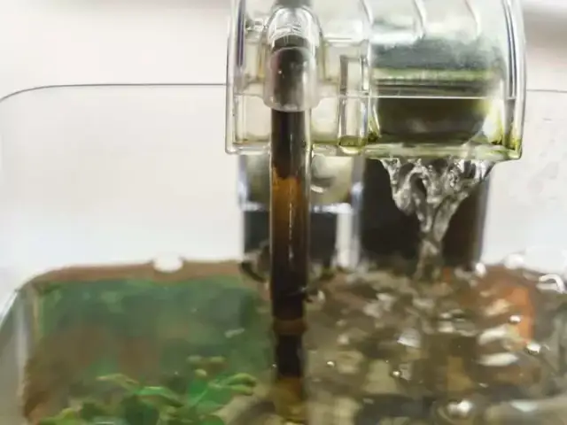 Napowietrzanie wody w terrarium