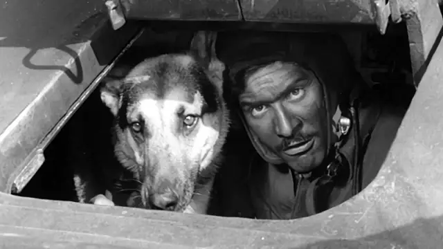 Czterej pancerni i pies - poznaj wszystkie odcinki kultowego serialu TV