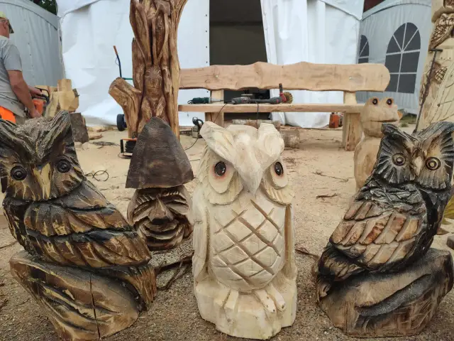 Niesamowite rzeźby z drewna, które odmieniają każde wnętrze i ogród