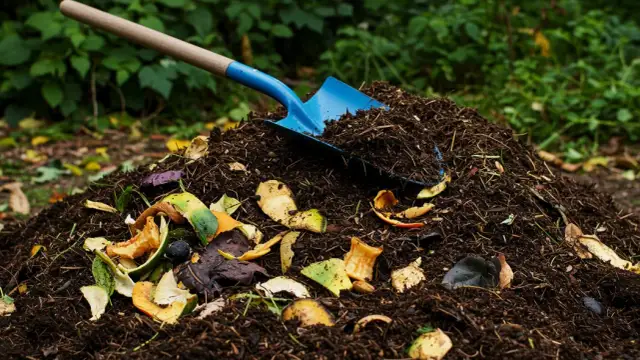 Jakie wapno do kompostu? Wybierz najlepsze dla ogrodu
