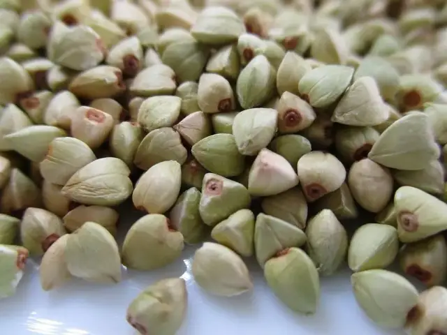 Czy w kaszy gryczanej jest gluten? Dowiedz się, co musisz wiedzieć