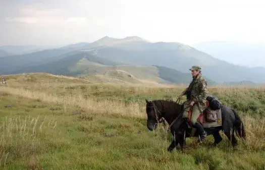 Stadnina koni w Bieszczadach – najlepsze miejsca na jazdę konną