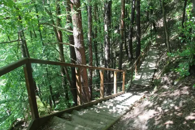 Piwniczna-Zdrój: atrakcje na każdą porę roku? Odkryj Beskid Sądecki!