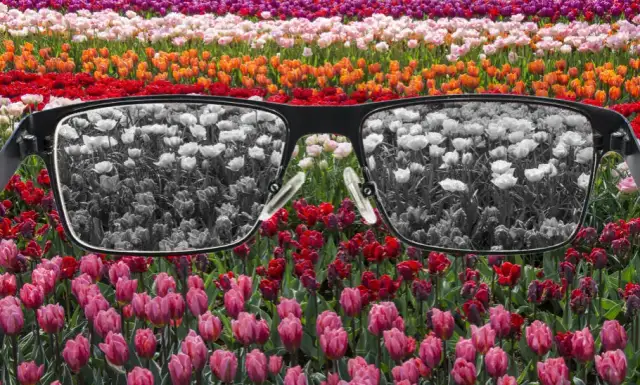 Daltonizm: jak widzi daltonista? Przyczyny, rodzaje i życie z wadą