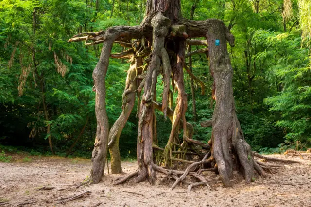 Atrakcje Buska-Zdroju, które zaskoczą każdego turystę