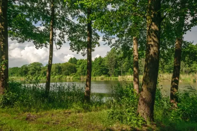 Jezioro Pobłędzie - raj dla miłośników natury i wędkarzy w Polsce