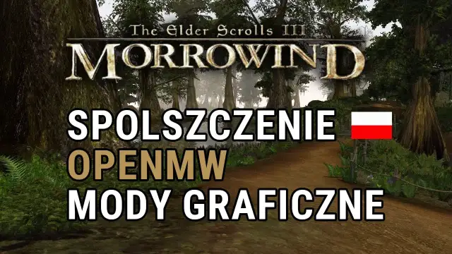 Jak zainstalować spolszczenie Morrowind - instrukcja krok po kroku + Dubbing
