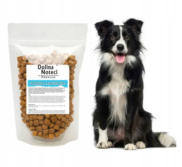 Czy Dolina Noteci to dobra karma dla psa? Sprawdź, co mówią opinie