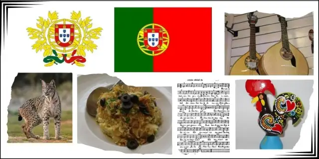 Jak wygląda flaga Portugalii? Odkryj jej symbolikę i znaczenie