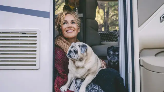 Pies w autokarze? FlixBus (dawny Polski Bus) i PKS: co musisz wiedzieć