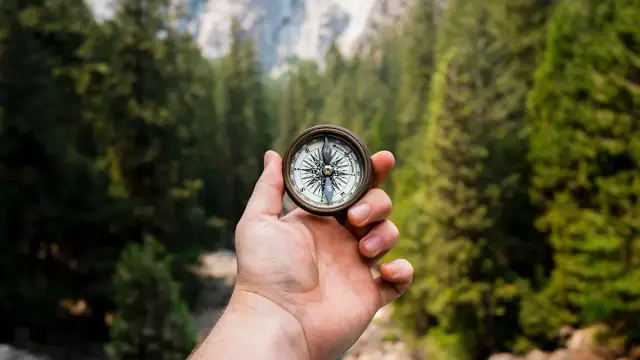 Jak odnaleźć drogę w lesie? Praktyczny poradnik krok po kroku