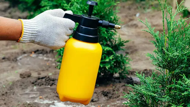 Jaki opryskiwacz ogrodowy? Od balkonu po duży sad wybierz swój!