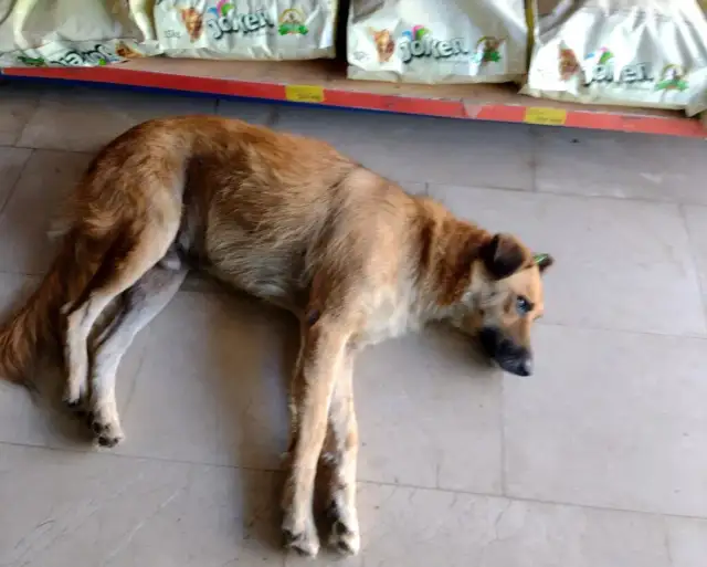 Czy w Turcji można wychodzić z hotelu? Poznaj bezpieczny kraj!