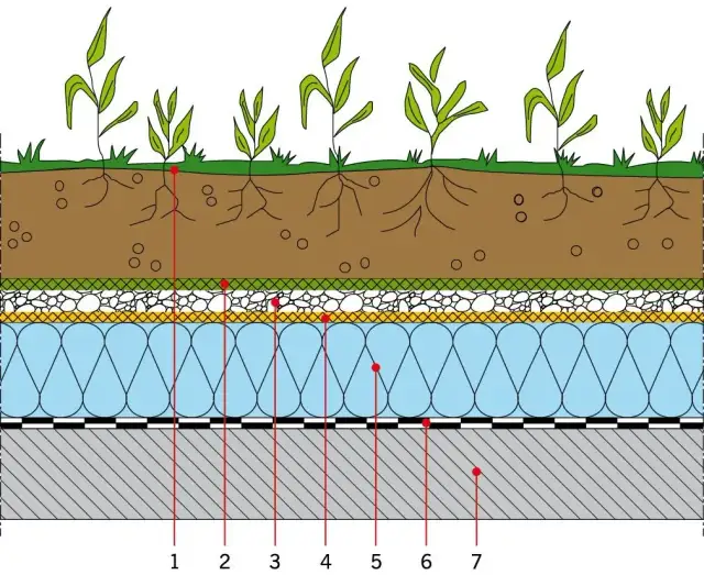 Jak wyznaczyć poziom terenu: proste metody i skuteczne techniki