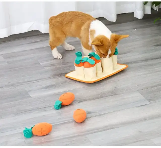 Pawka zabawka – idealne kreatywne zabawki dla dzieci i psów