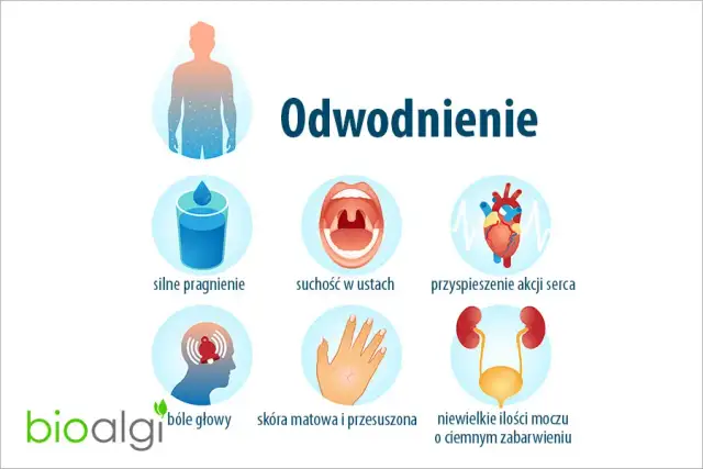 Psychiczne objawy odwodnienia: Czy to mgła mózgowa? Odzyskaj jasność!