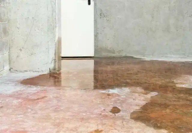 Sótano a estudio de arte: ¿Cómo vencer humedad y falta de luz?