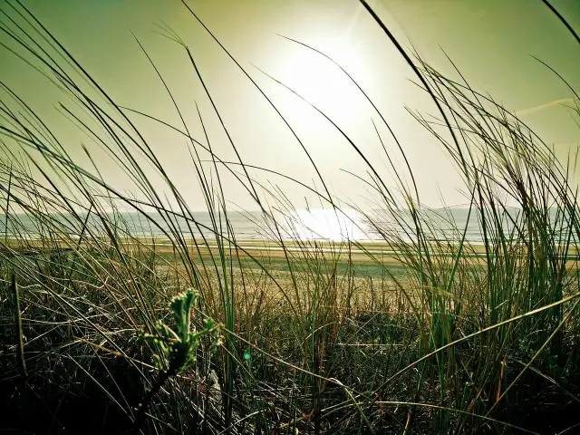 Nad jakim morzem leży Holandia? Odkryj kluczowe fakty geograficzne
