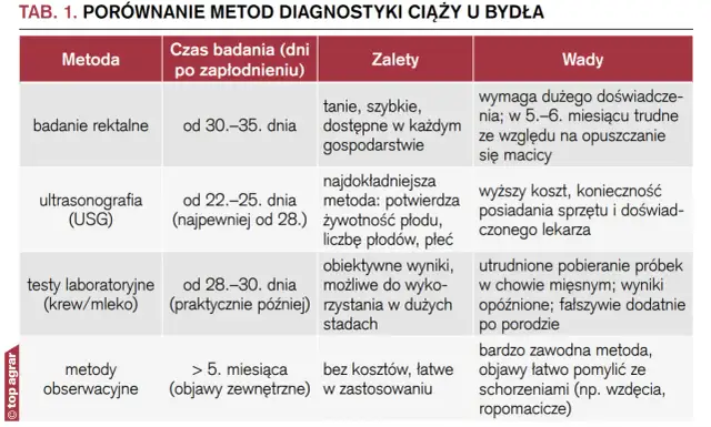 Jak obliczyć wiek ciąży? Poznaj metody i wybierz najdokładniejszą!