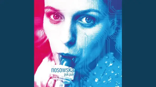 Jeśli wiesz co chcę powiedzieć - historia, znaczenie i wersje utworu