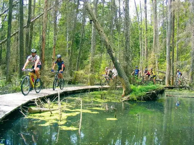 Biebrzański Park Narodowy: najlepsze trasy rowerowe i ich atrakcje